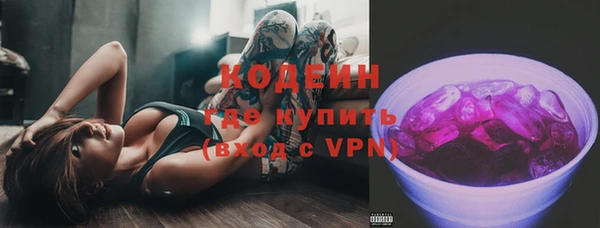 шишки Приозерск