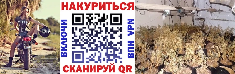 Канабис AK-47 Зерноград